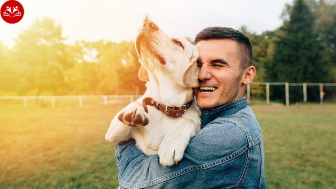 costco pet insurance canada
